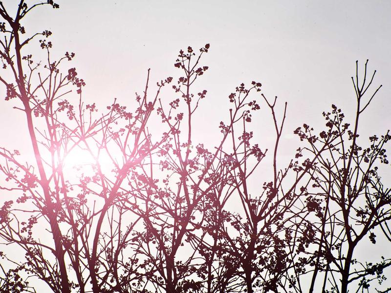 sudoku magazine section screenshot 3