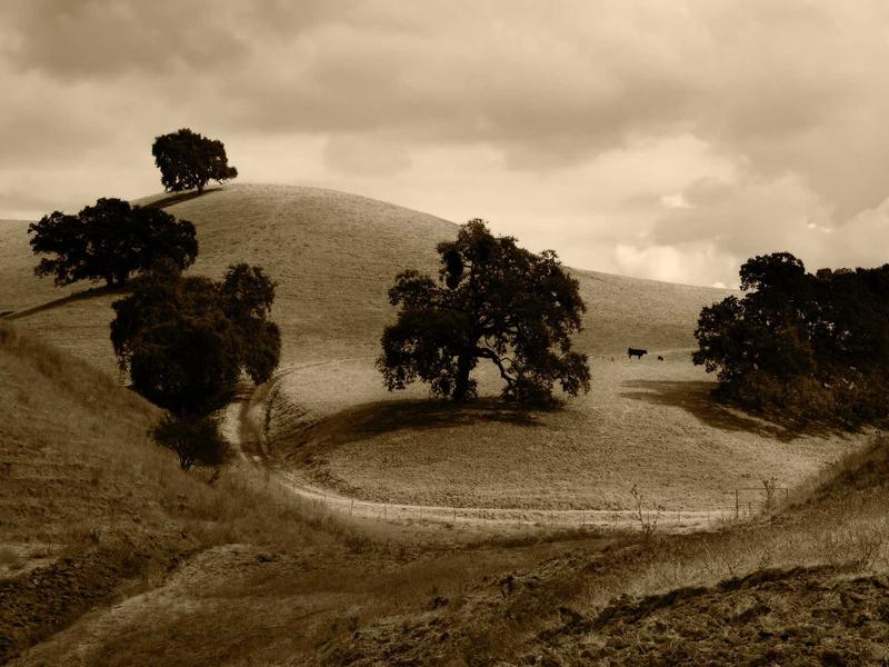 sudoku magazine section screenshot 4